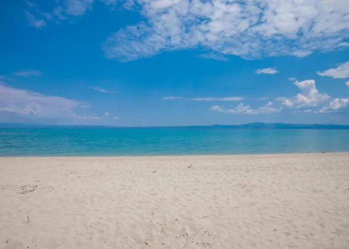 Roxane * 佩科霍里